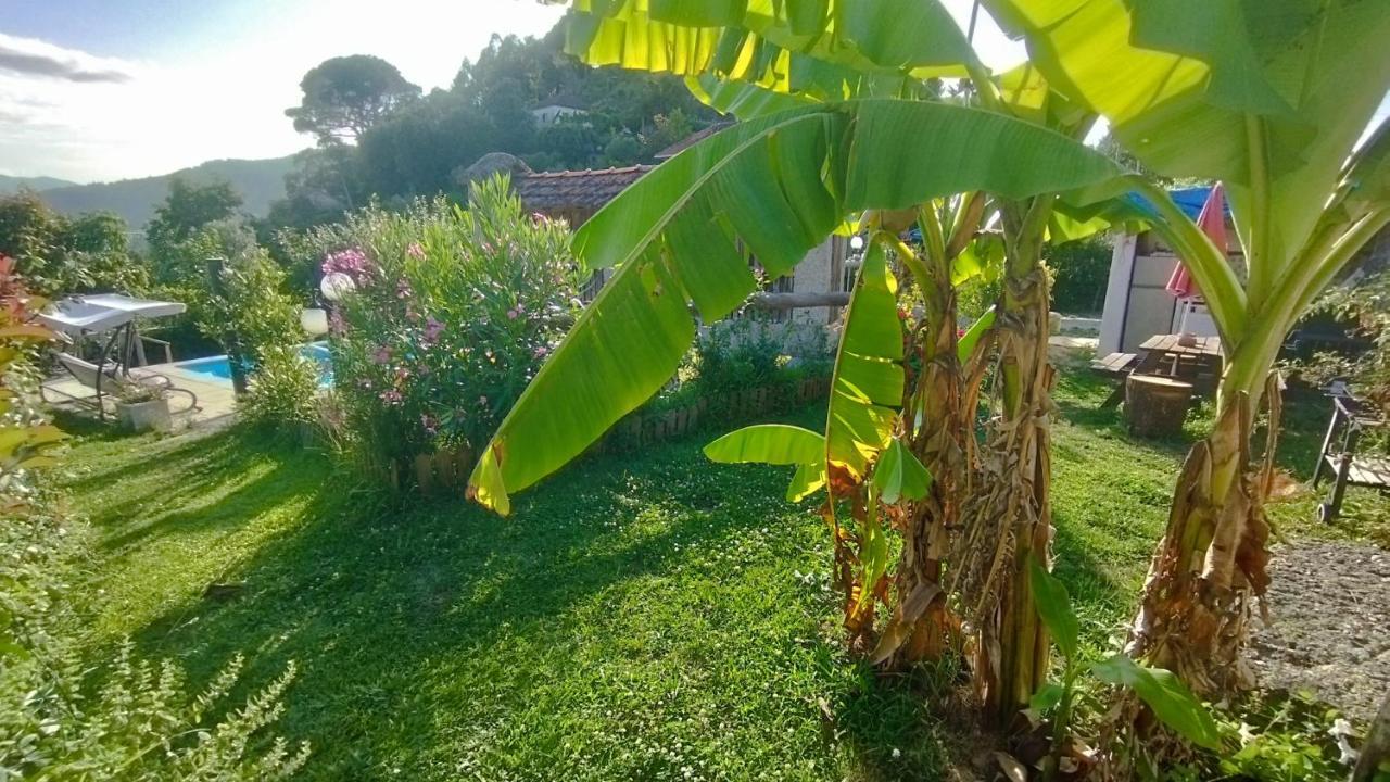 Alojamento De Crasto - Gerês Exterior foto